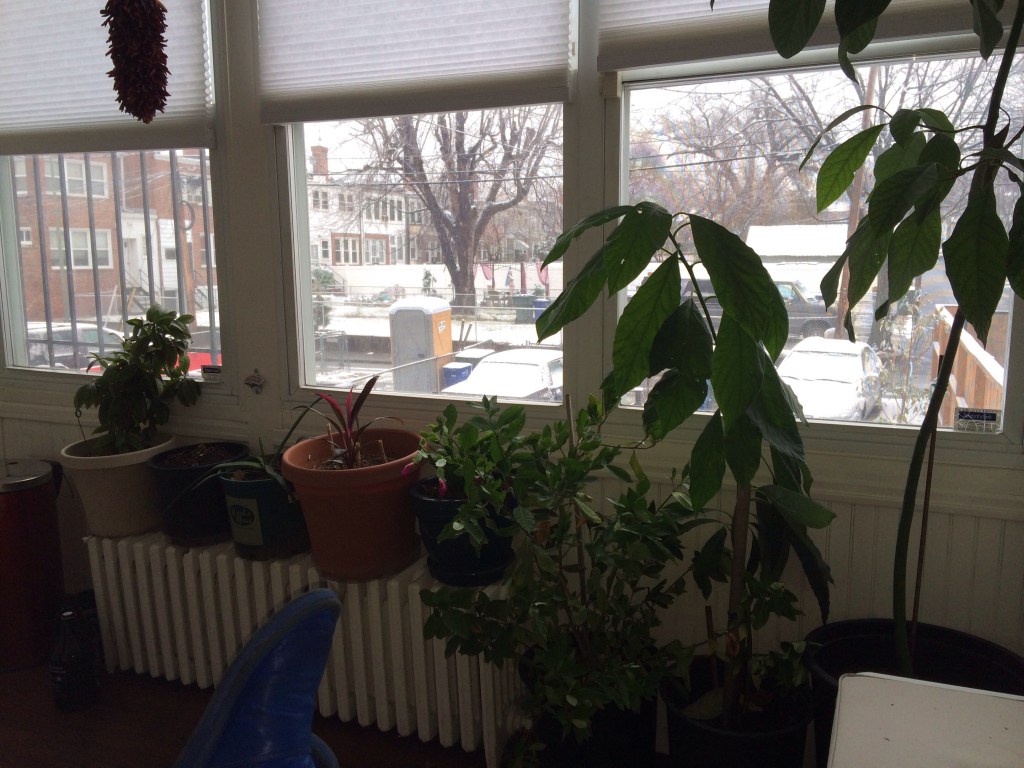 Plants in for the&nbsp;Winter!