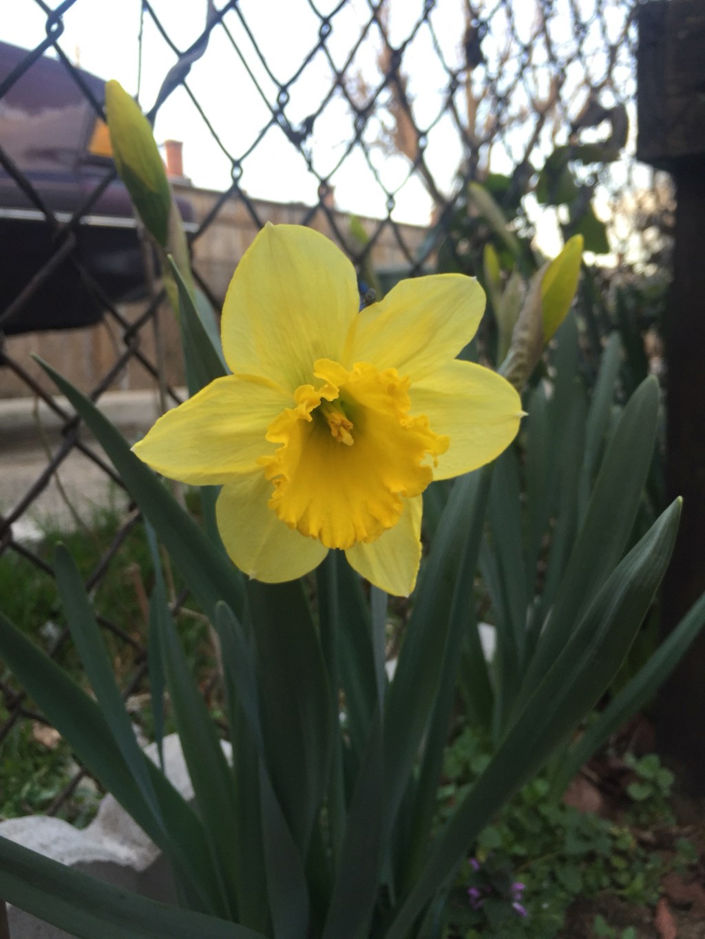 Whoa. That was quick. Spring is&nbsp;here!