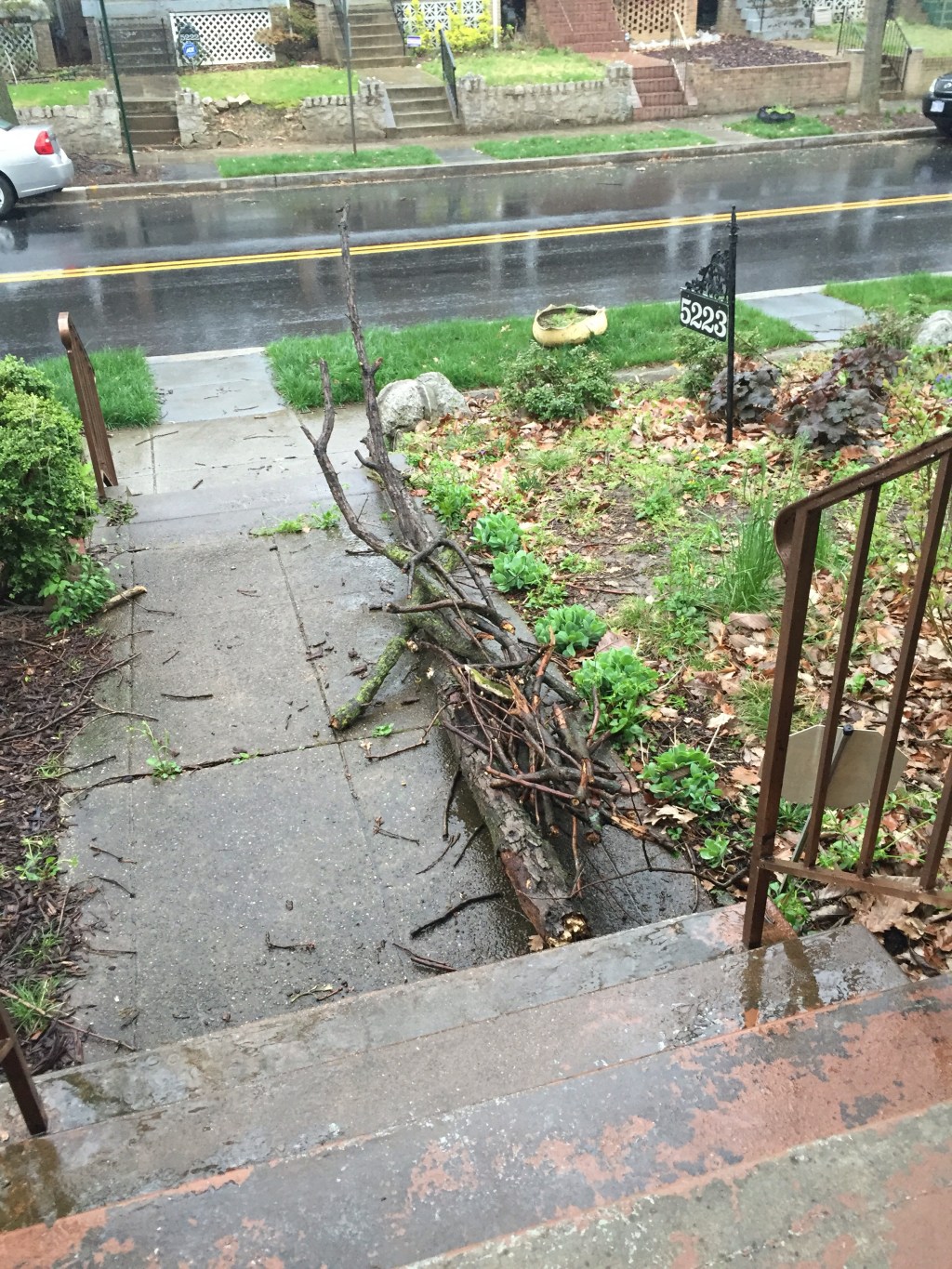 If a tree falls in NW, DC – does it make a&nbsp;sound?
