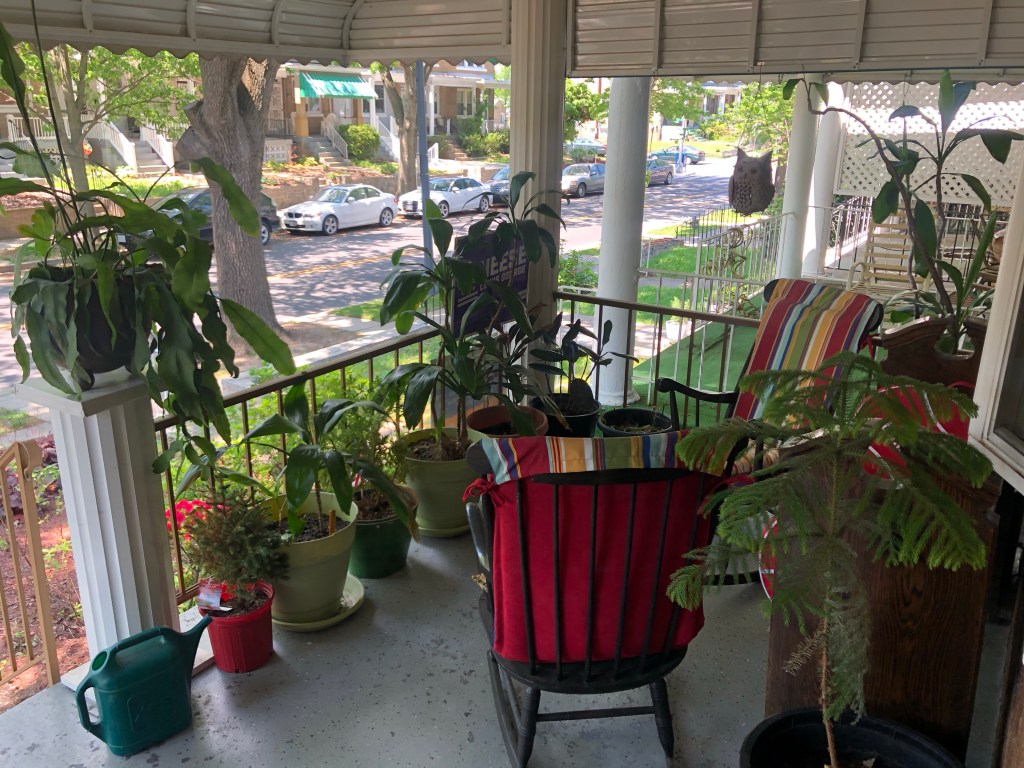 Spring/Summer Migration